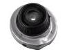 Strut Mount
