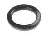 Friction Bearing