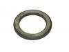Friction Bearing